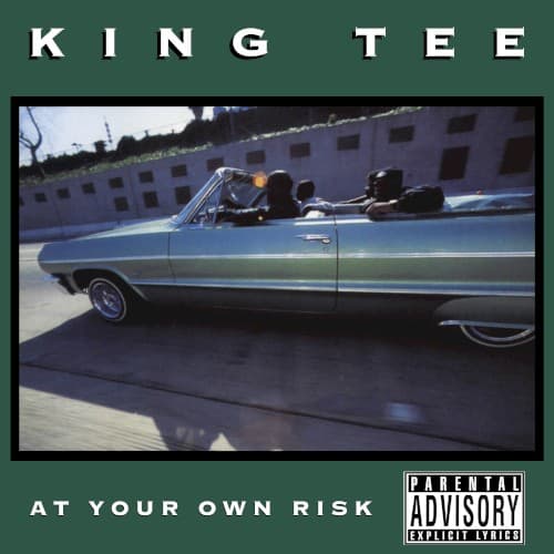 At Your Own Risk cover