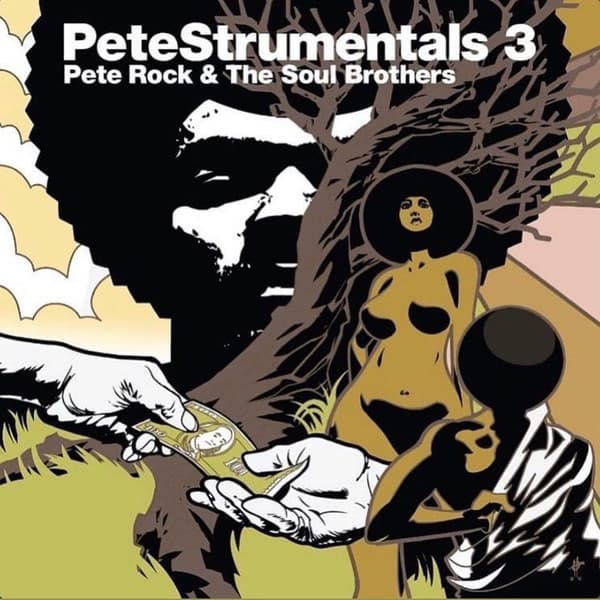 PeteStrumentals 3 cover