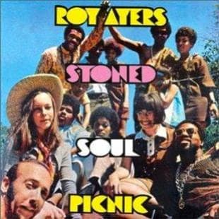Stoned Soul Picnic cover