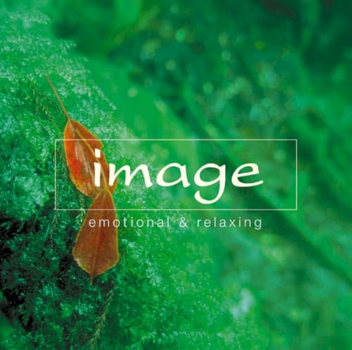 Image cover